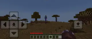 Long Legged Steve