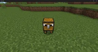 Crazy Chest