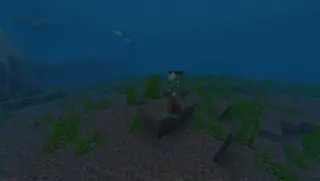 Drowned Mobs