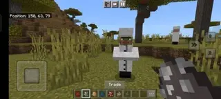More Professions Villagers