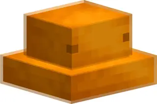 SCP: Protective Procedures