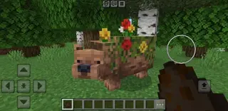Flower Bear
