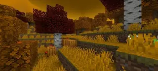 Dan's Halloween