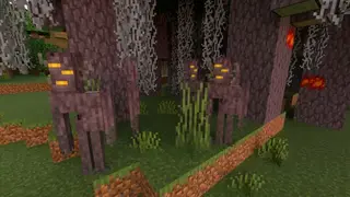 Creaking & Pale Blocks