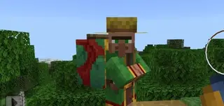 Wandering Villager