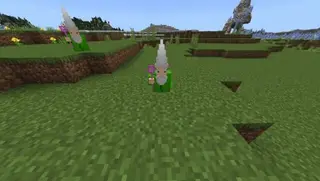 Gnome Crawly