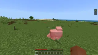 Minecraft But Every Hit You Get A Random Effect