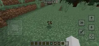 Daggers