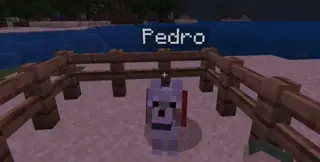 My Best Friend Pedro