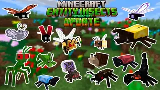 TayiNdz1011 Entity Update