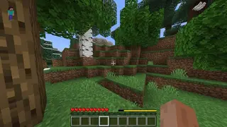 The Hunger Rework