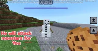 Tame Minecraft Golems