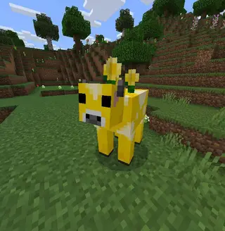 The Cow Expansion