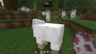 WHITA | What is That?