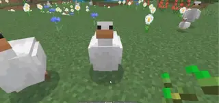Carlos