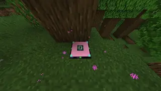 Bedrock Teleporters
