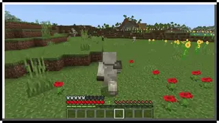 Phantom Armor, Tools, and Whip