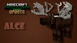 Entity Taiga Update