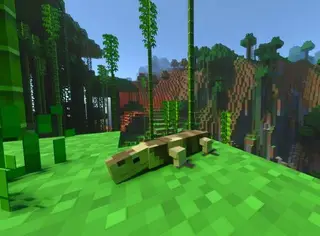 Tropical Fauna