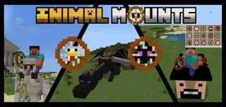 Animal Mounts