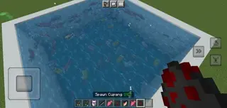 Aquatic Life