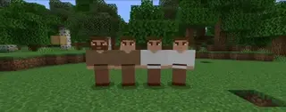 Medieval Life