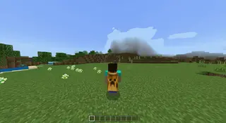 Dynamic Third Person Camera
