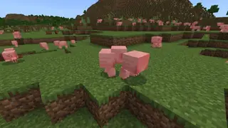 Pigs Fall Apart by JayCubTruth