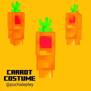 Carrot Costume