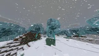 Frost
