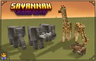 Savannah WanUpdate