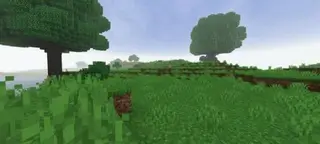 Just Biome | Biome and Exploration