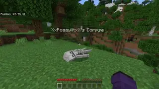 Player Corpse