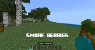 Cat Smurf Meme