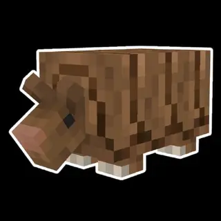 Armadillo