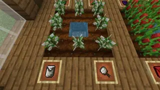 UltraFarming