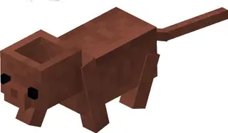 Flower Pot Catsss