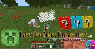 Minecraft But Every Mob Drop Random Item