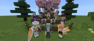 The Anime Waifu's