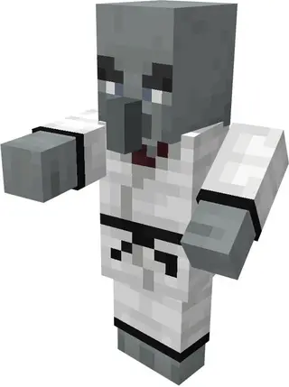 Karate Illager