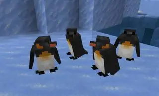 Penguin 2