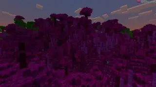Mo'Magic