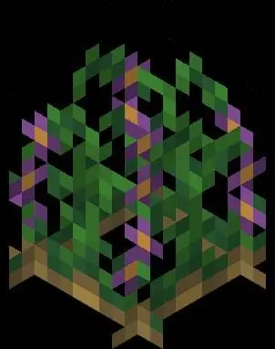 Forageables