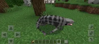 Animalia World