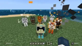 Complete Wolves Overhaul