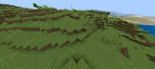 Little Foliage, Grass & Corals