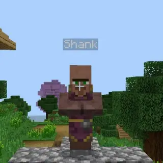 Random Villager Name