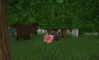 Pigmarker