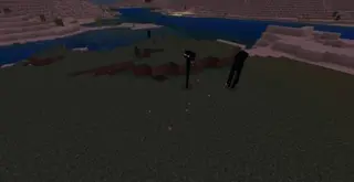 Anti Enderman Griefing
