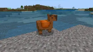 Simple Capybaras